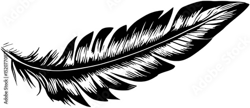 artistic feathers