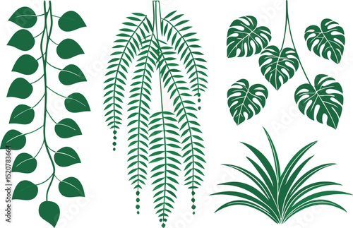 Elegant green foliage illustrations of various plants on white background