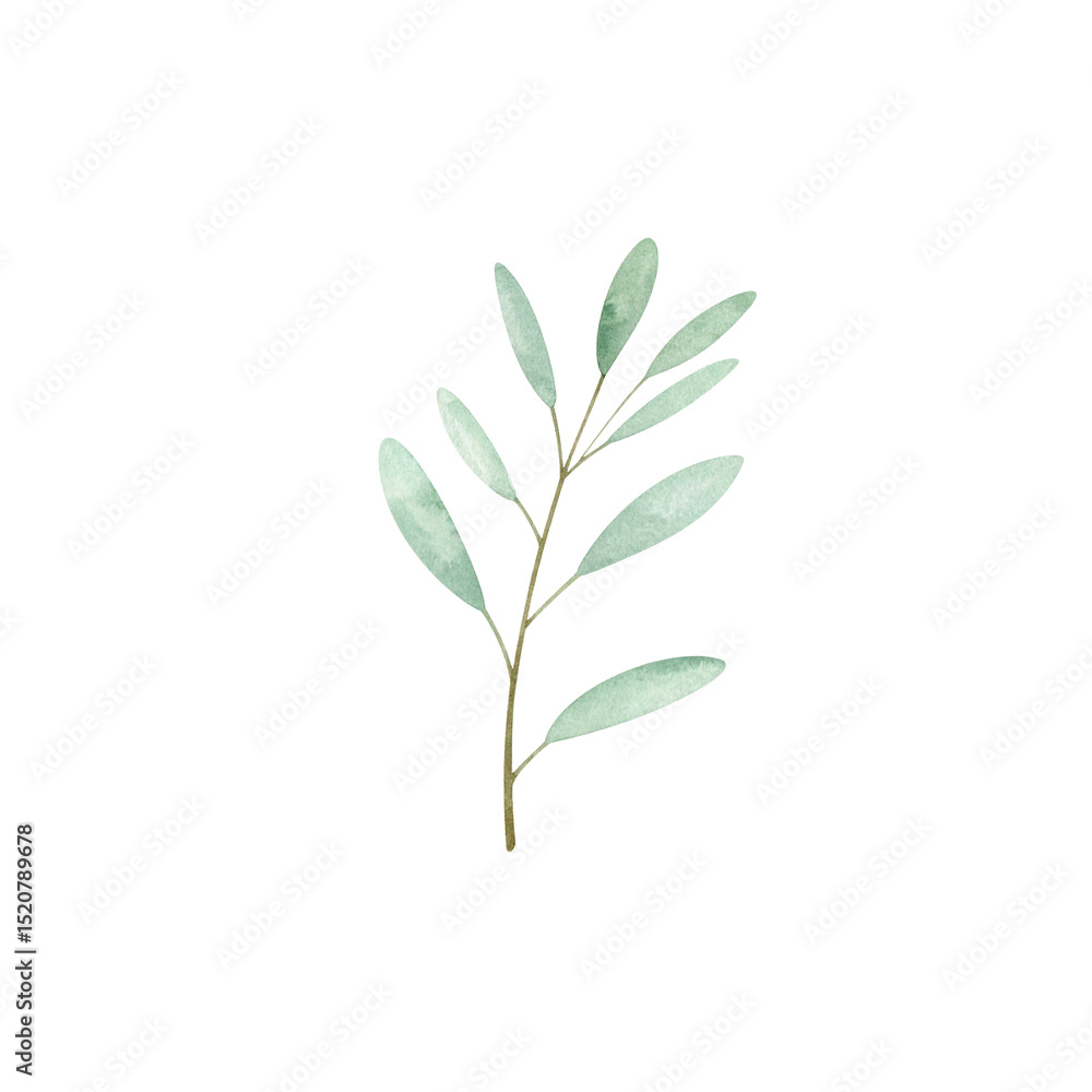 Fototapeta premium Fresh green leaves and a spring branch of a plant or tree are isolated on white, showcasing nature's botanical growth and vibrant foliage