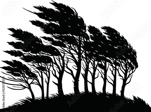 Silhouette of wind blowing through trees
 vector isolated on white background