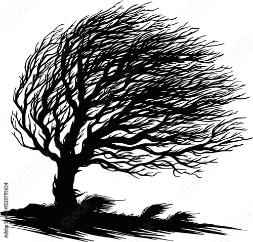 Silhouette of wind blowing through trees
 vector isolated on white background