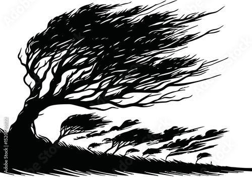 Silhouette of wind blowing through trees
 vector isolated on white background