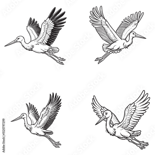Stork Silhouette – Graceful Wading Bird with Iconic Long Legs