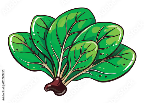 Fresh spinach leaves. vibrant green.