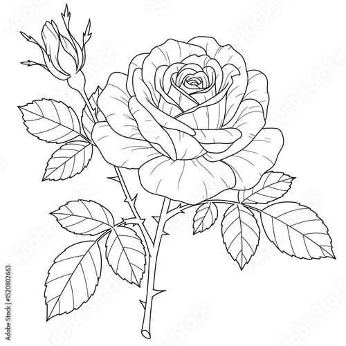 Seamless Monochrome Floral Pattern. Hand Drawn Floral Texture, Decorative Flowers, Coloring Book.