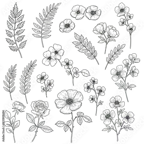 Seamless Monochrome Floral Pattern. Hand Drawn Floral Texture, Decorative Flowers, Coloring Book.