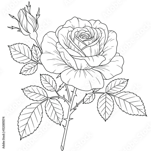 Seamless Monochrome Floral Pattern. Hand Drawn Floral Texture, Decorative Flowers, Coloring Book.