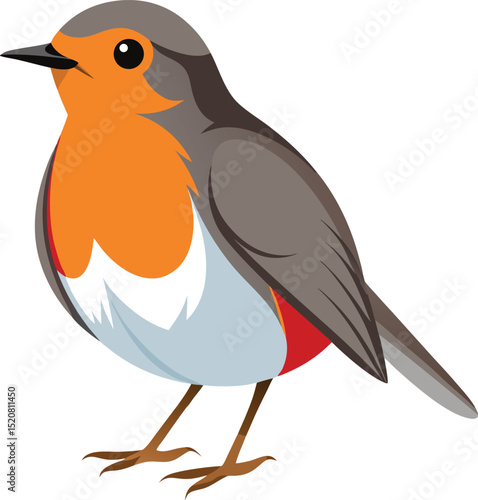 European robin bird in charming colorful illustration vector design
