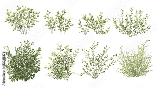 Set of green bush plant illustrations on transparent background png cutout