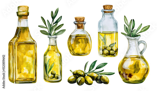 Watercolor olive oil bottles with green olives and leaves on transparent background