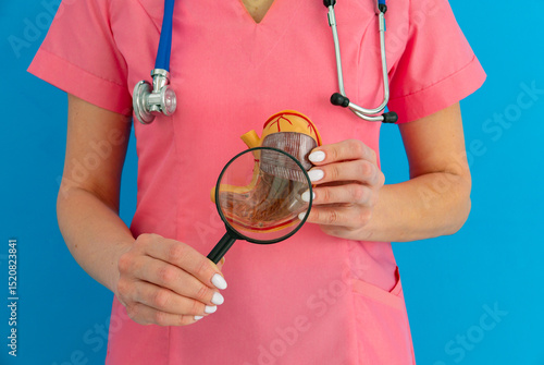 Tableau sur toile Male doctor showing a model of stomach using magnifying glass