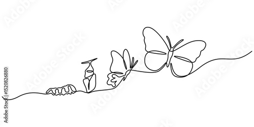 One continuous line drawing butterfly life cycle. Caterpillar process into butterfly simple outline vector illustration. Butterfly metamorphosis, Butterfly transformation concept continuous line art. 