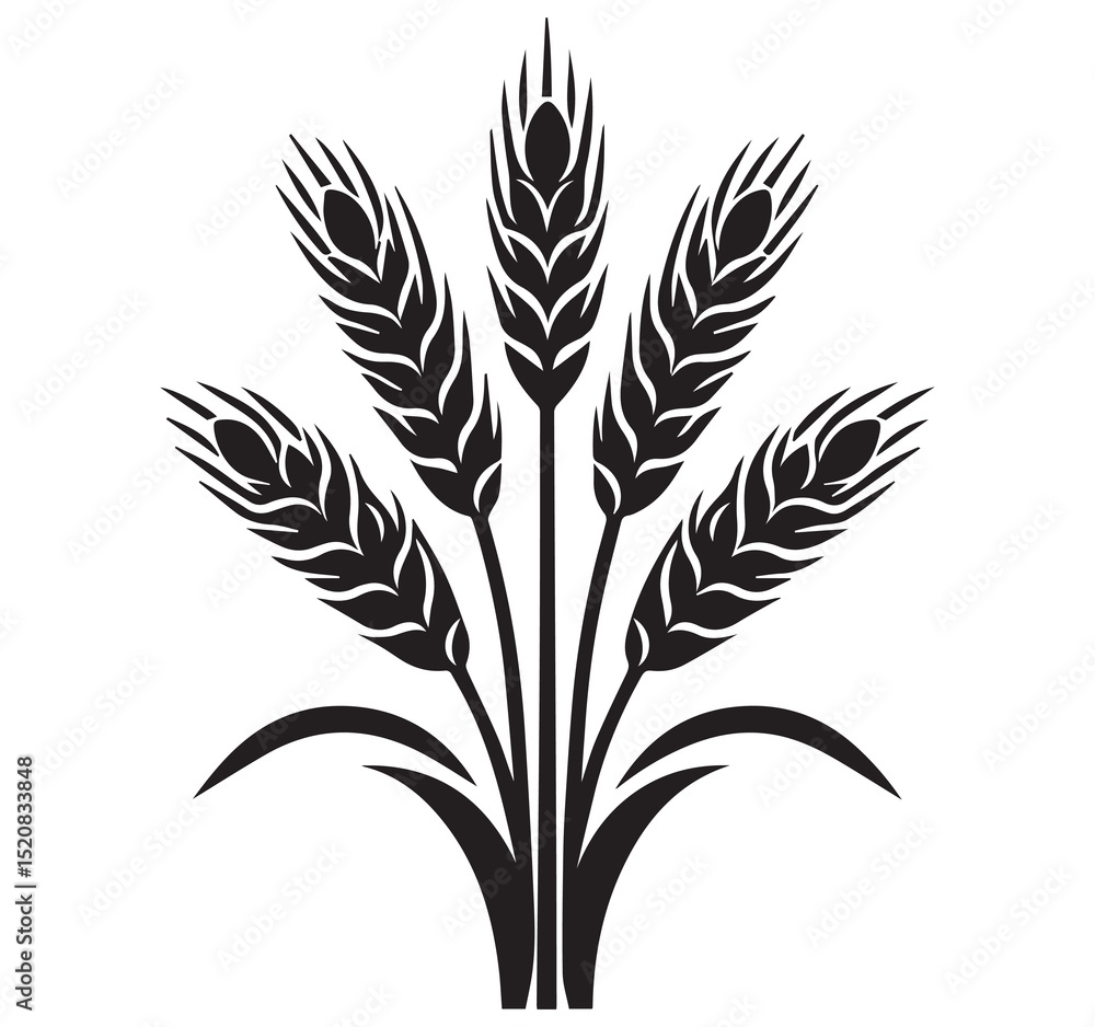 Stylized Black and White Wheat Grain Ears Stalks Bundle Agriculture Illustration Graphic Vector Art Stylized Black and White Wheat Grain Ears Stalks Bundle Agriculture Illustration Graphic Vector Art