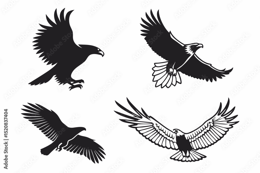 Obraz premium set of eagle