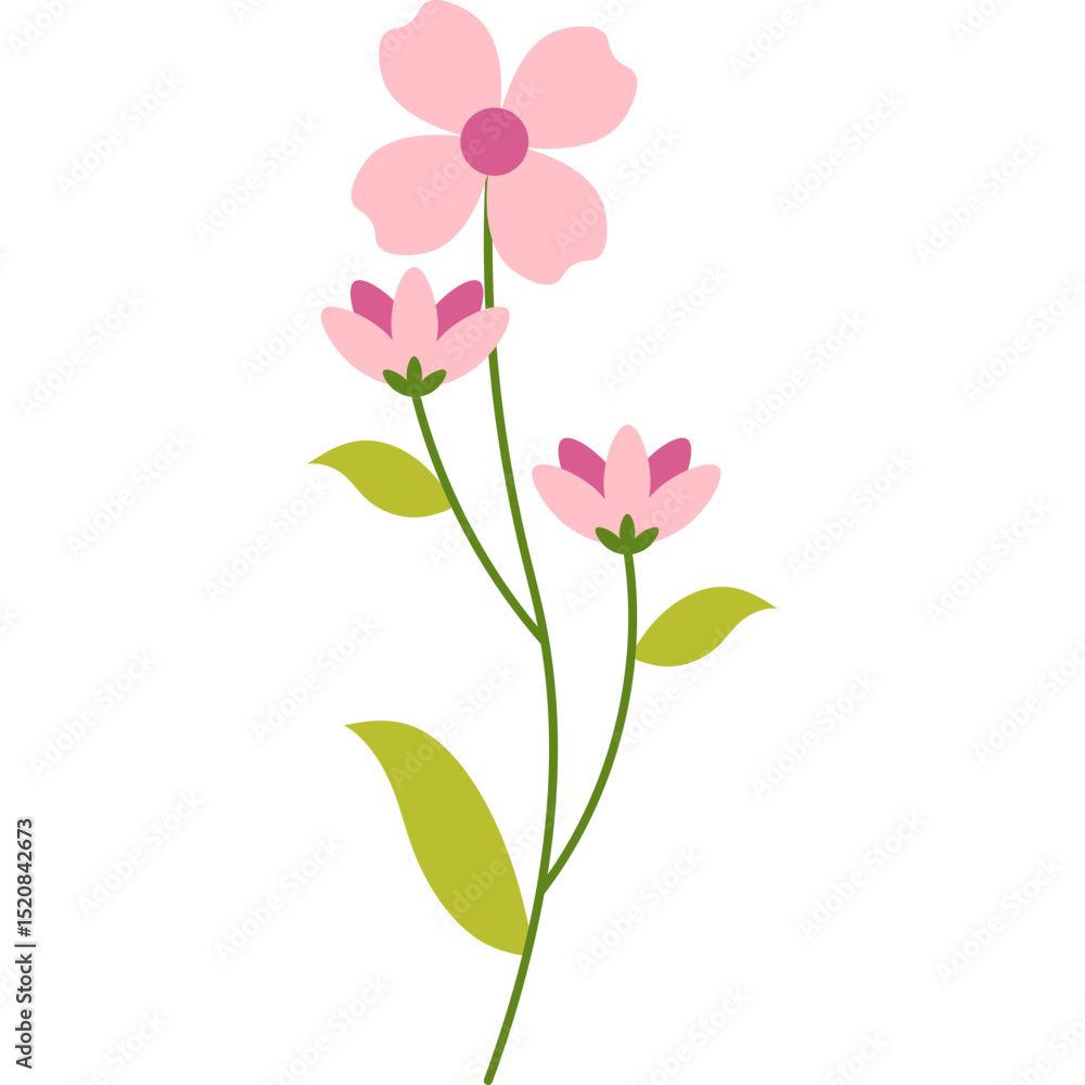 Fototapeta premium Spring Flower Illustration