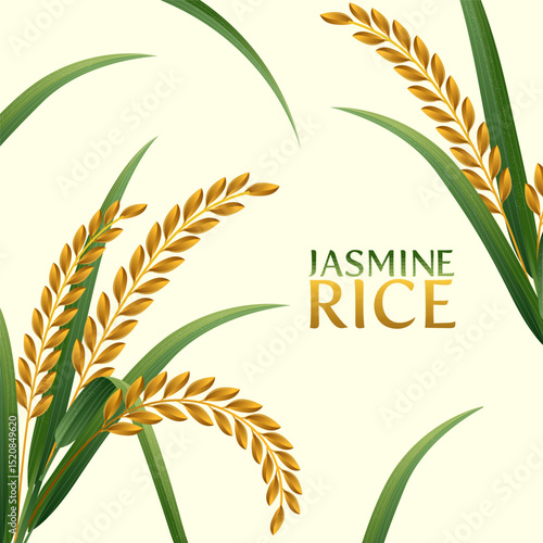paddy rice premium organic natural product banner logo vector design