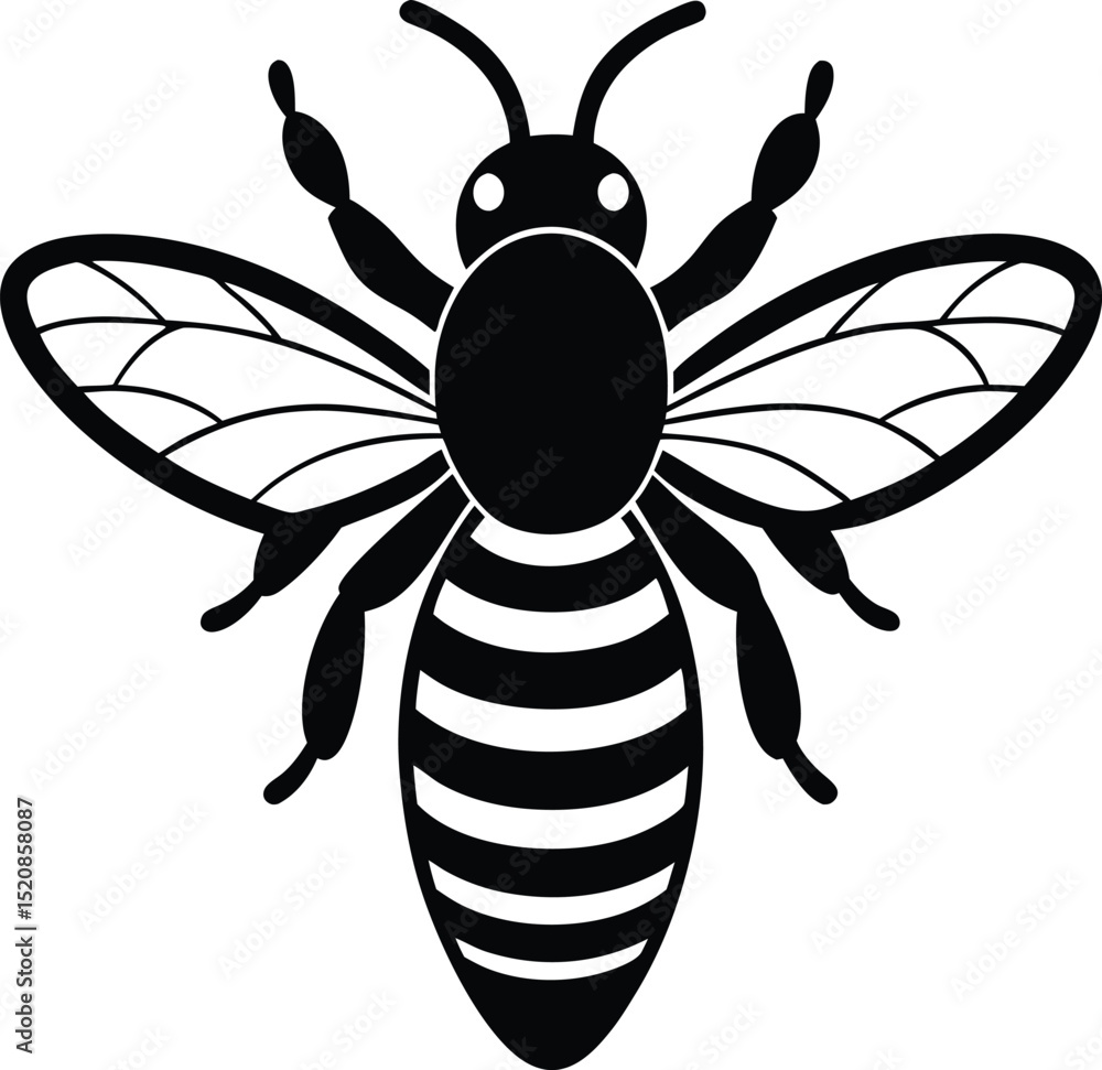 bee on white background bee on white background