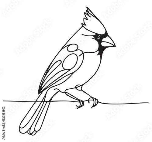 Minimalist Black and White Line Art Drawing of a Perched Cardinal Bird