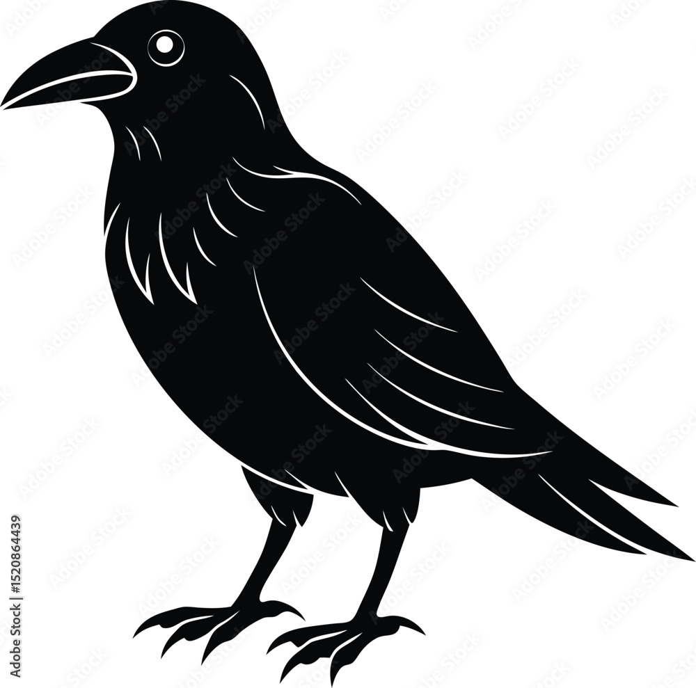 Fototapeta premium crow on white background