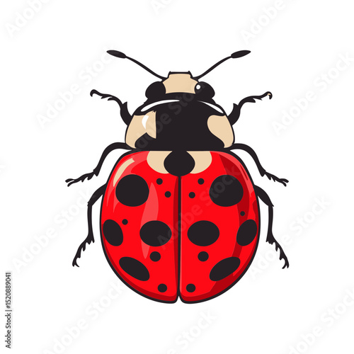 Ladybug's Detailed Profile: A close-up, graphic representation of a ladybug showcases its striking red and black markings in a detailed illustration.