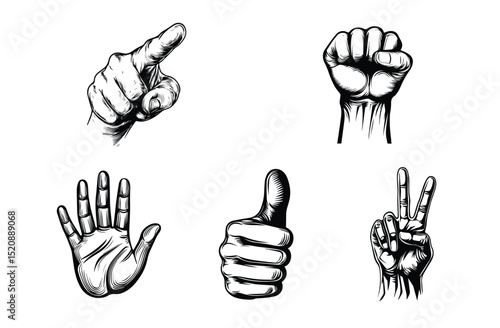 Gestural Tapestry: A detailed black and white illustration showcases a collection of hand gestures. It captures the variety of human expression through hand positions.