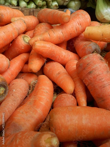 carrots on the market