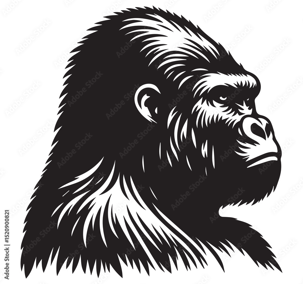 Obraz premium Detailed Black and White Gorilla Head Profile Vector Illustration - Powerful Wild Primate Animal Art Graphic