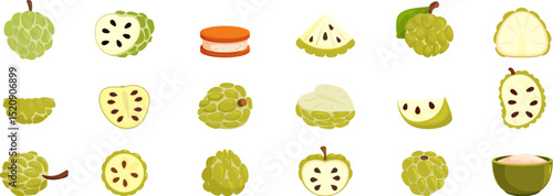 Custard apple icons set. Showcasing various forms of the sugar apple - annona squamosa - , from whole fruits to slices, segments, and a creamy dessert