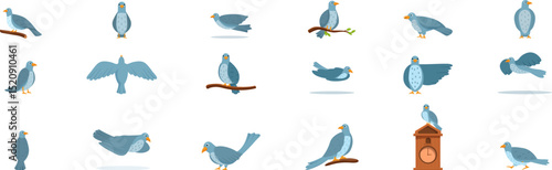 Cuckoo bird icons set. Collection of cartoon doves in various poses, perched on branches, flying, and standing