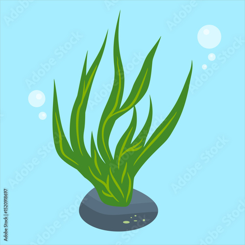Green seaweed on mossy underwater rocks,
soaked in clear coastal seawater,
flat art design style.