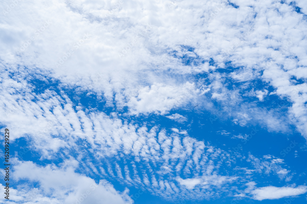 Fototapeta premium ひつじ雲と青空