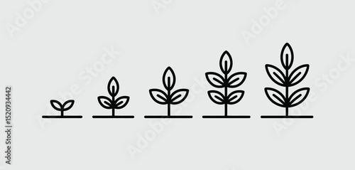 Plant Growth Stages Illustration Simple Line Icons