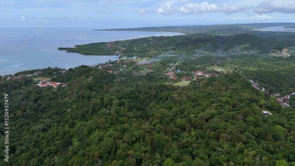 Drone aerial view of trees tropical rainforest jungle west sumatra Mentawai Islands Regency indonesia Drone aerial view of trees tropical rainforest jungle west sumatra Mentawai Islands Regency indonesia