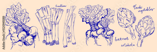 Hand drawn line food illustration vector. Vegetables and herbs, spices. Farm food. Healthy eating