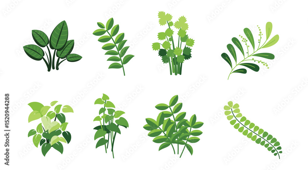 Indoor Houseplants vector illustration Indoor Houseplants vector illustration