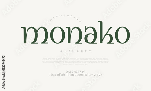 A classy serif font with soft curves and refined structure. Ideal for modern editorial and branding needs