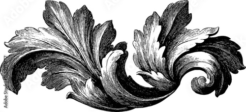 Elegant acanthus leaf motif engraving for decorative design and artistic projects