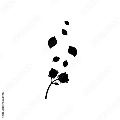 Falling rose petals from stem with buds. Rose petals falling from elegant rosebuds, creating gentle, melancholic mood.