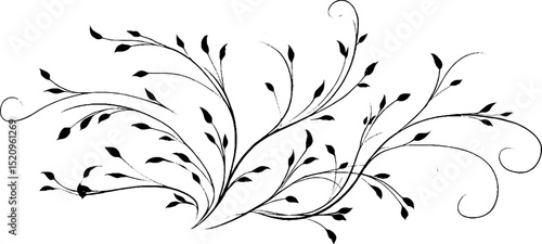 Elegant curved tendrils with delicate leaf motifs in engraved style for design and decor