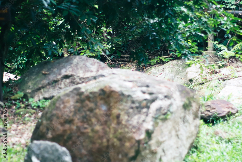 Khlong Chang Waterfall – Hidden Gem of Nakhon Si Thammarat, Thailand
Khlong Chang Waterfall – Hidden Gem of Nakhon Si Thammarat, Thailand