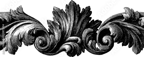 Intricate rococo borders engraved illustration design for elegant decoration