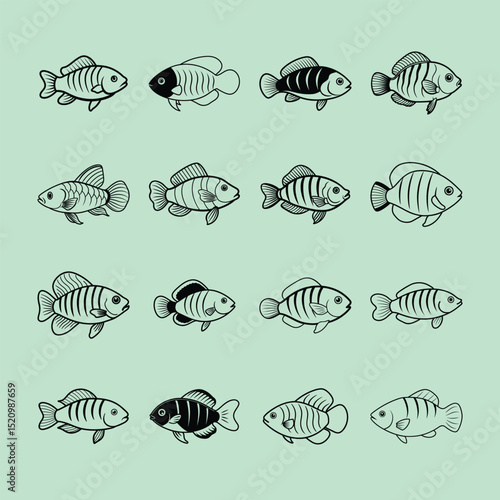 Emperor Tetra, aquarium fish line art illustration