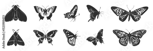 Butterfly And Moth Silhouette Set. Nature'S Elegance And Diversity In Flight Isolated Vector Illustration Collection