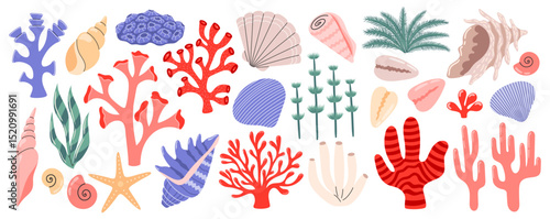 Coral, seaweed set and sea shells set. Ocean exotic underwater seashells, plants, tropical coral-reef. Flat vector illustration isolated on white background
