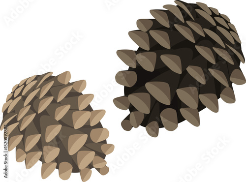 Vector cartoon illustration brown pine cone isolated on a white background. Natural botanical element, perfect for autumn, seasonal, and forest-themed designs.