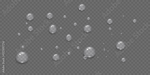 Vector water drops.Realistic raindrops.Bubbles, rain, water.EPS 10.