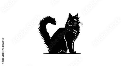 Elegant Silhouette of a Long-Haired Black Cat with a Plumed Tail