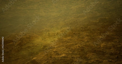 Shallow water reveals a sandy bottom dotted with aquatic vegetation, showcasing a murky yet tranquil environment, captured during the afternoon light.