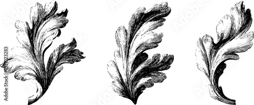 Elegant engraved floral design elements for decorative projects