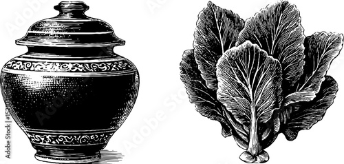 Traditional kimchi jar and napa cabbage engraved illustration set for culinary design
